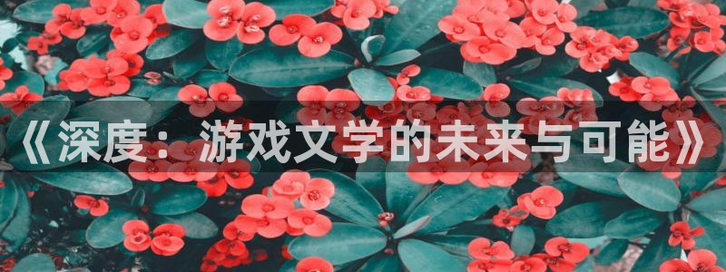 多彩娱乐平台官网注册：《深度：游戏文学的未来与可能》