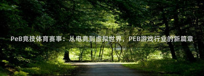 多彩娱乐注册网站：PeB竞技体育赛事：从电竞到虚拟世界，PE