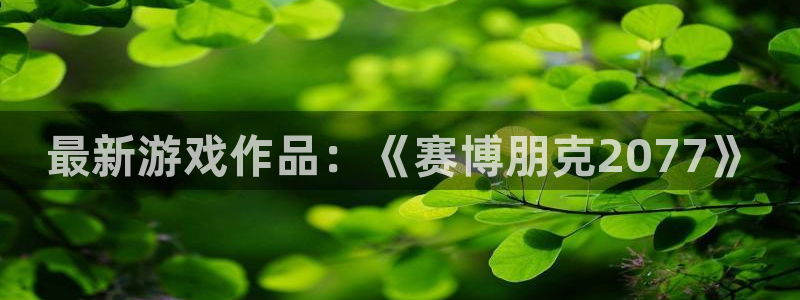 多彩娱乐注册地址：最新游戏作品：《赛博朋克2077》