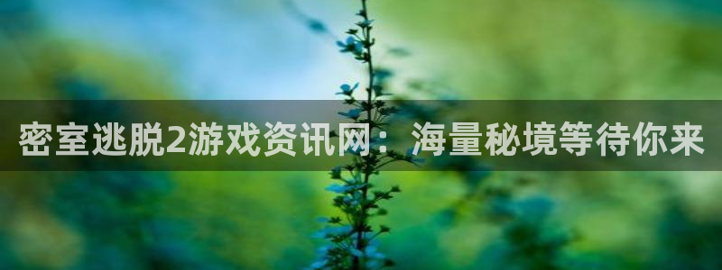 多彩娱乐平台注册资金多少：密室逃脱2游戏资讯网：海量秘境等待