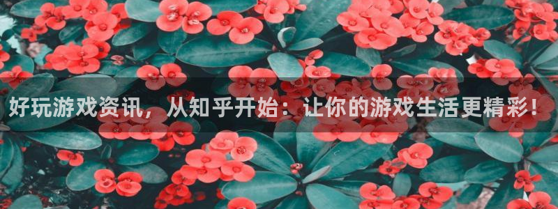 多彩娱乐登陆测速：好玩游戏资讯，从知乎开始：让你的游戏生活更