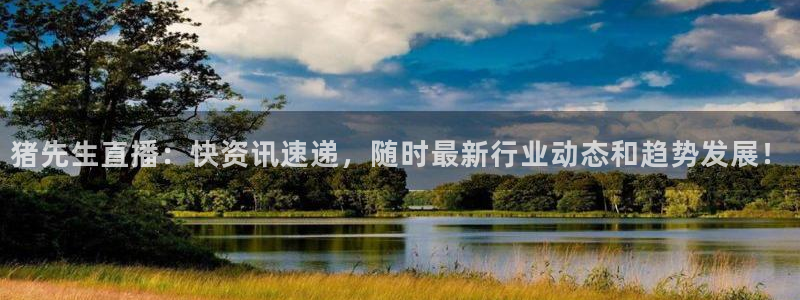 多彩娱乐网页登录入口：猪先生直播：快资讯速递，随时最新行业动