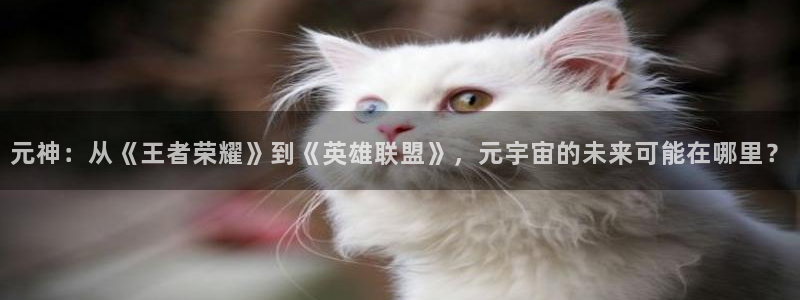 多彩娱乐注册：元神：从《王者荣耀》到《英雄联盟》，元宇宙的未