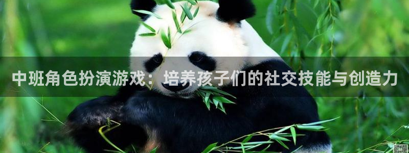 多彩联盟?官网导航