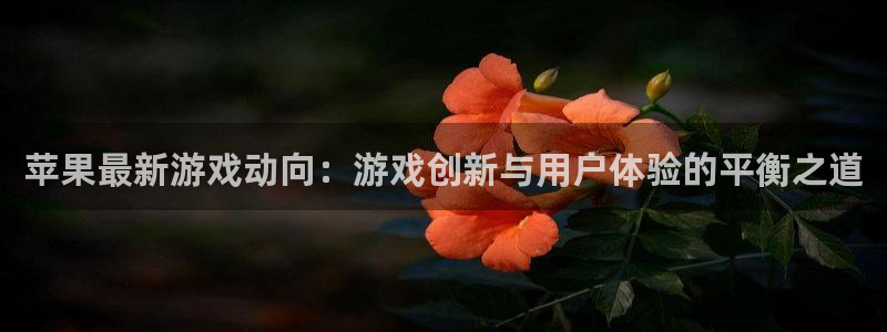 多彩联盟挂机