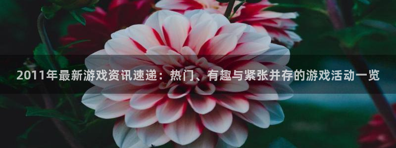 多彩联盟信誉平台官网入口
