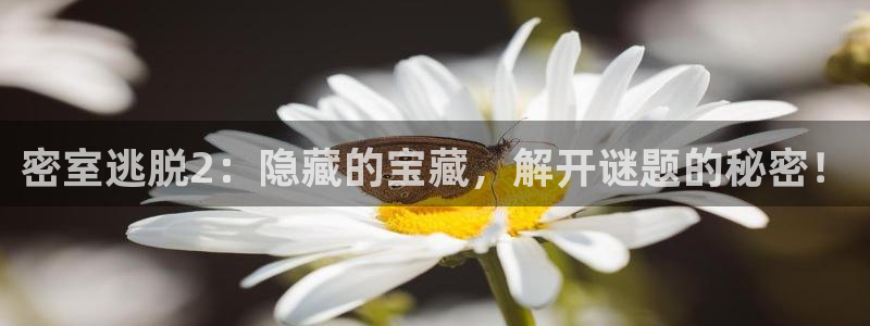 多彩联盟平台注册地址：密室逃脱2：隐藏的宝藏，解开谜题的秘密