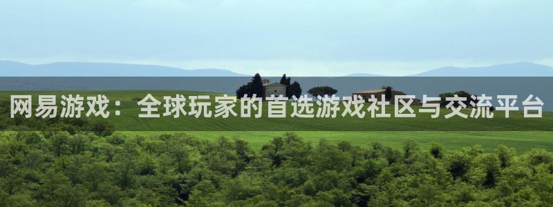 多彩联盟查询：网易游戏：全球玩家的首选游戏社区与交流平台