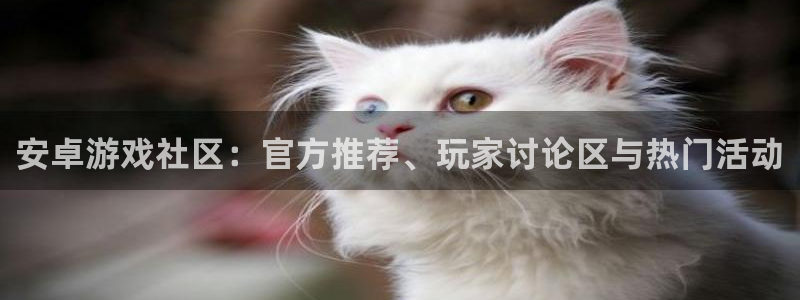 多彩联盟野马团队：安卓游戏社区：官方推荐、玩家讨论区与热门活
