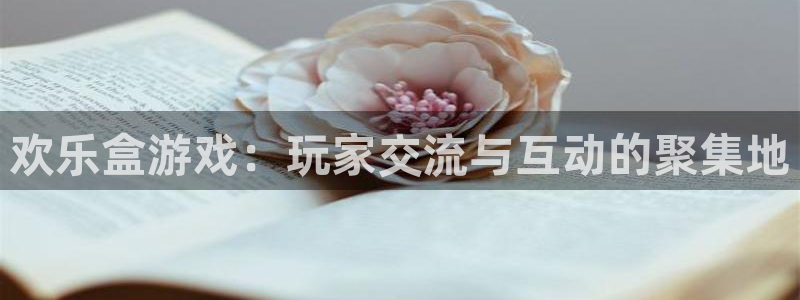 多彩联盟官网是真的假的：欢乐盒游戏：玩家交流与互动的聚集地