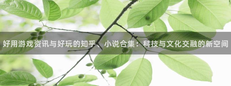 多彩联盟招商：好用游戏资讯与好玩的知乎、小说合集：科技与文化