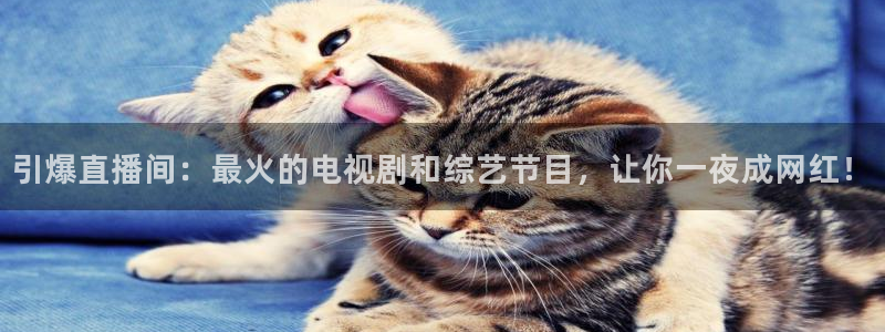 857体育直播入口：引爆直播间：最火的电视剧和综艺节目，让你一夜成网红！