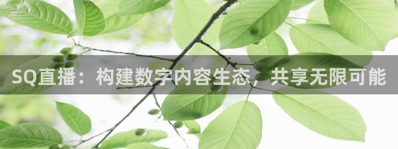 857直播nba在线观看：SQ直播：构建数字内容生态，共享无限可能