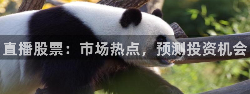 857篮球直播体育：直播股票：市场热点，预测投资机会