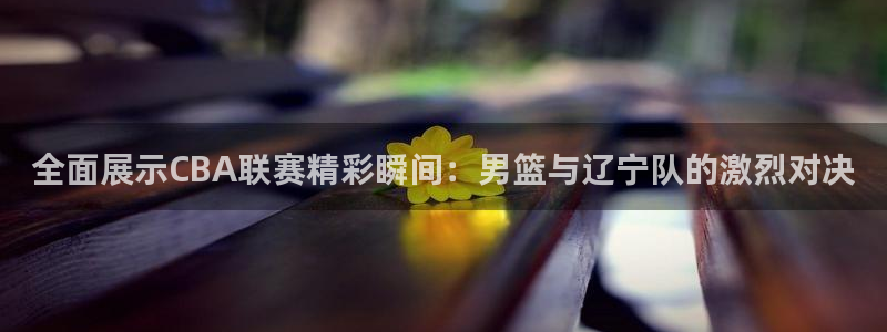 857直播足球免费直播：全面展示CBA联赛精彩瞬间：男篮与辽宁队的激烈对决