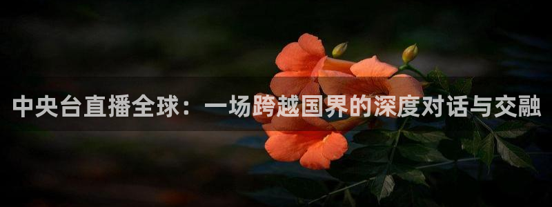 857直播体育足球：中央台直播全球：一场跨越国界的深度对话与交融