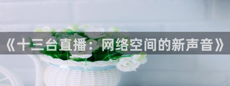 857体育直播在线观看